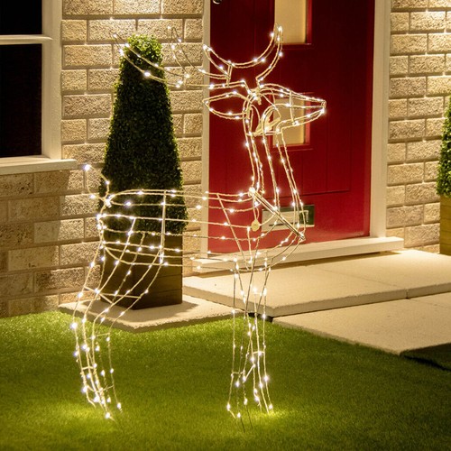 Lightup cervo caldo - caldo, led
