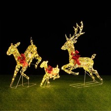 Famiglia 3 Renne Luminose di