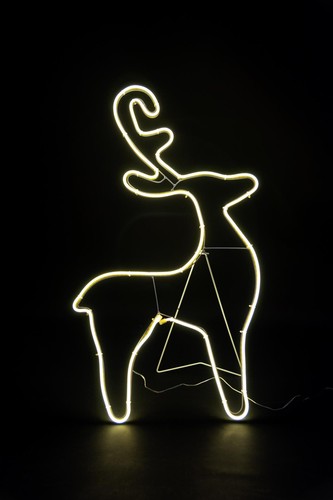 Corda neon luce sagoma - corda,