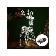 Renna luminosa a basso