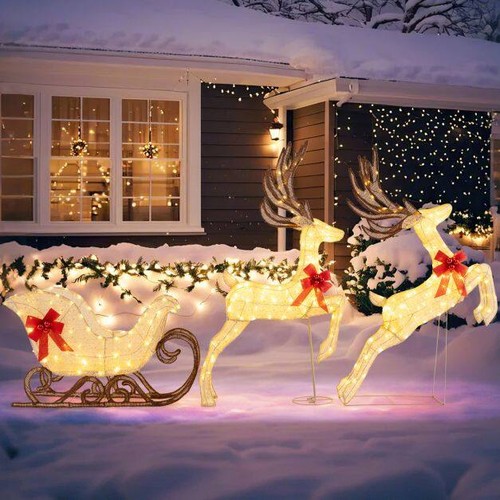 Illumina renne famiglia - illumina,