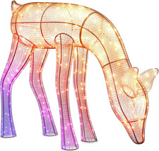 Reindeers Doe, Renna Luminosa