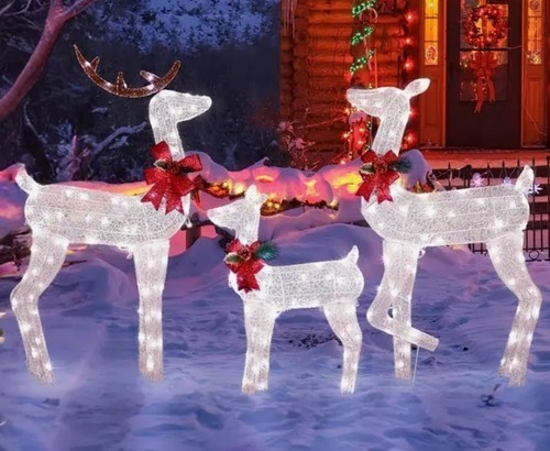 Set famiglia renne natale - renne,